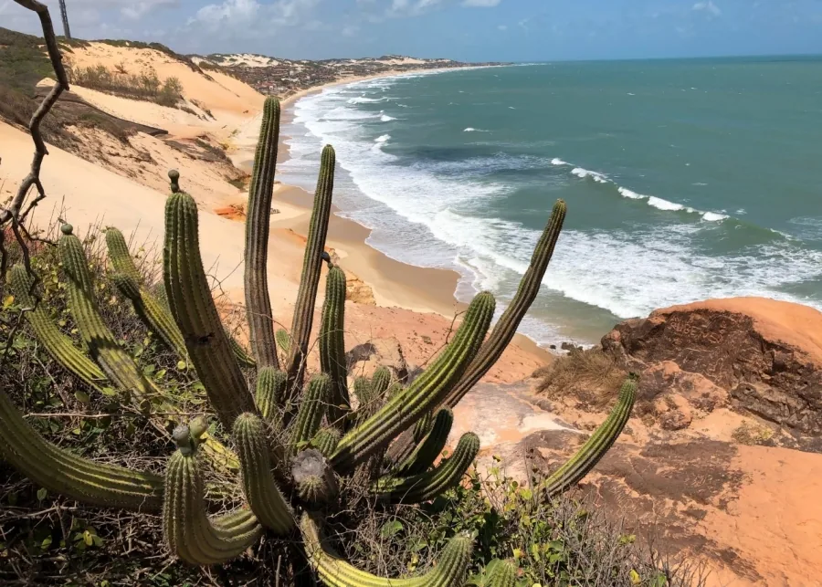 Dunas de Búzios em Nísia Floresta: O Paraíso do Sandboard e Fotos Inesquecíveis