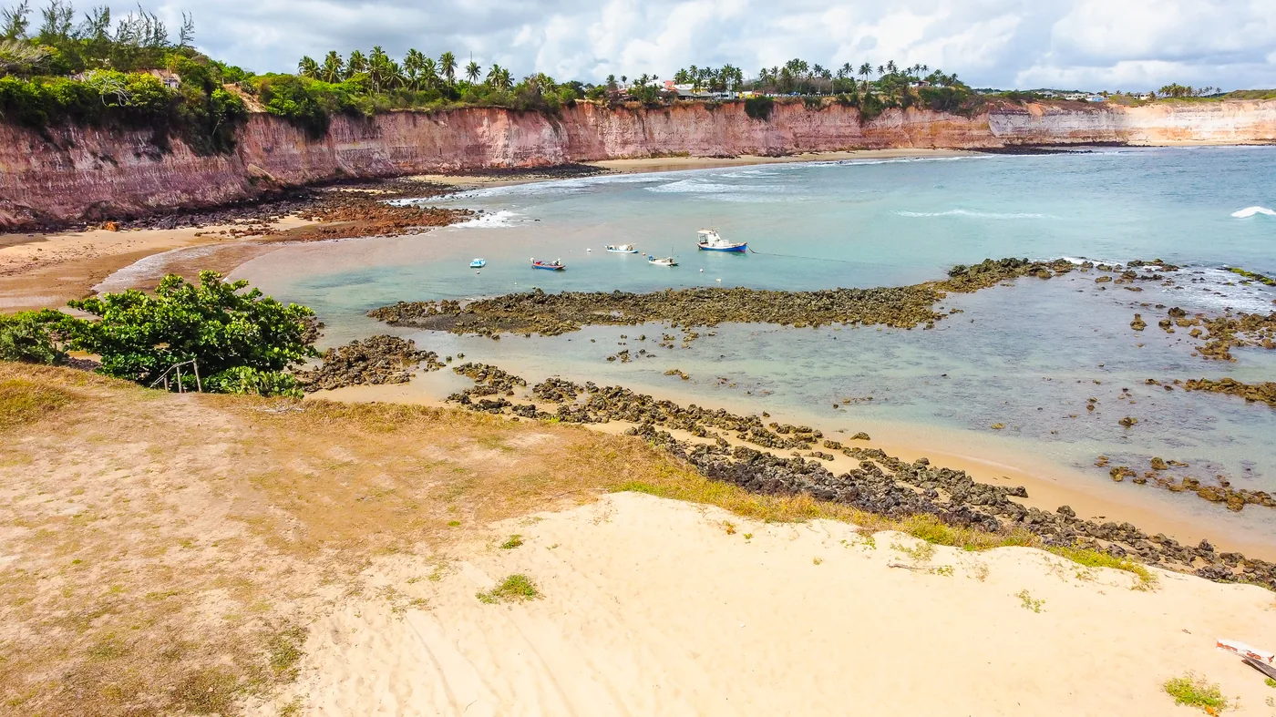 Baía dos Golfinhos em Pipa: Como Nadar com Golfinhos em seu Habitat Natural